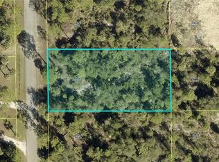 2318 Moore Ave, Alva, FL 33920