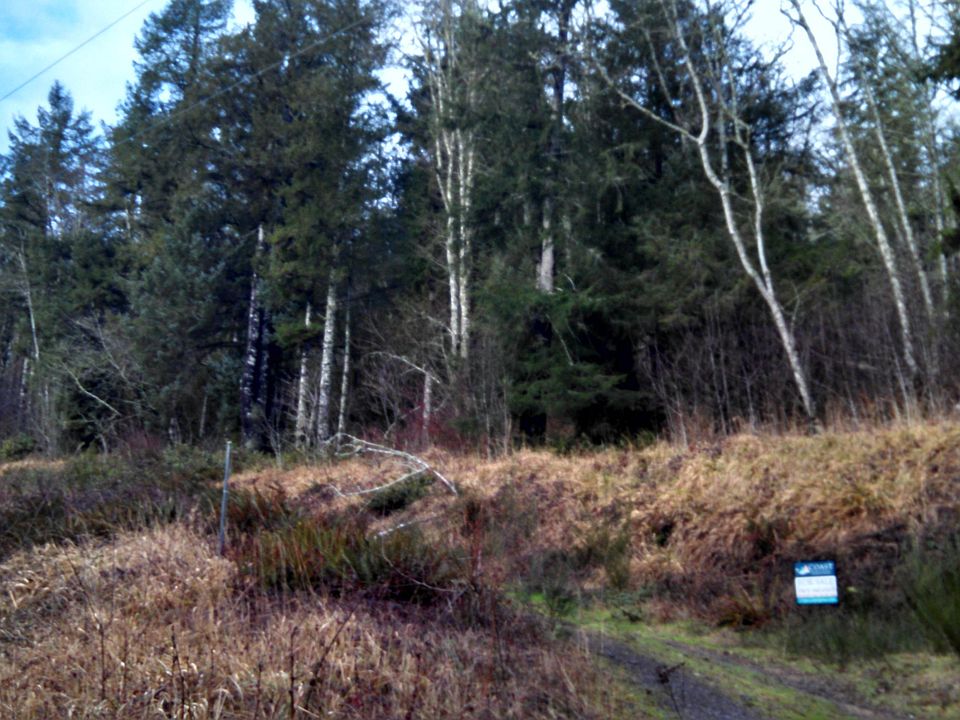 1st image of Salmonberry Cir
