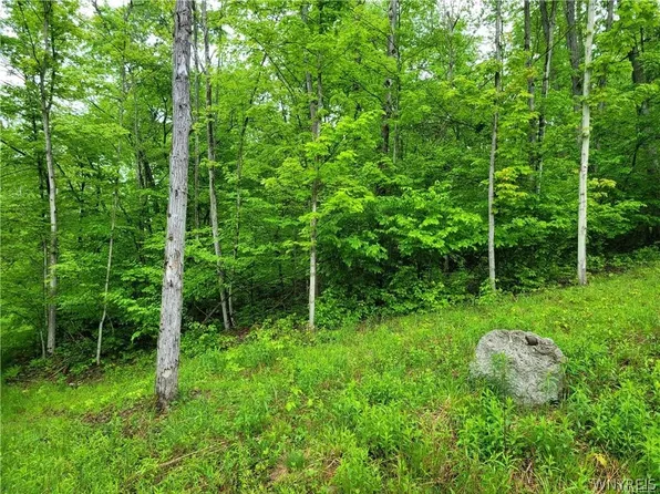 0 County Road 24 Lot 1, Swain, NY 14884