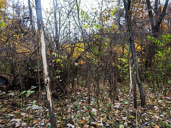 5th image of 9230 Township Road 79