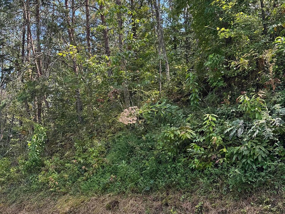 1st image of S B Ogle Ln