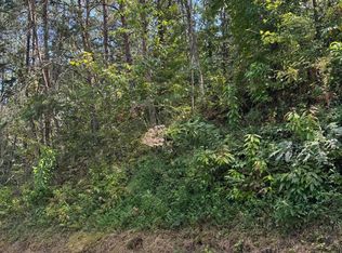 S B Ogle Ln, Sevierville, TN 37876