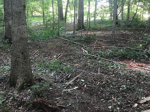 5th image of 373 Forest Trail Dr
