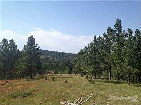 BLACKHILLS109730C[1]