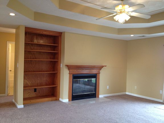 Fireplace & Built in shelf