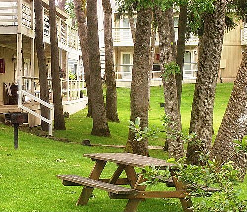 Picnic Table
