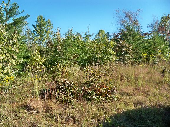 4th image of 5.6 Hill Farm Road
