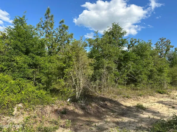 0 NW Lakeside Dr Lot 16 & 17, Altha, FL 32421