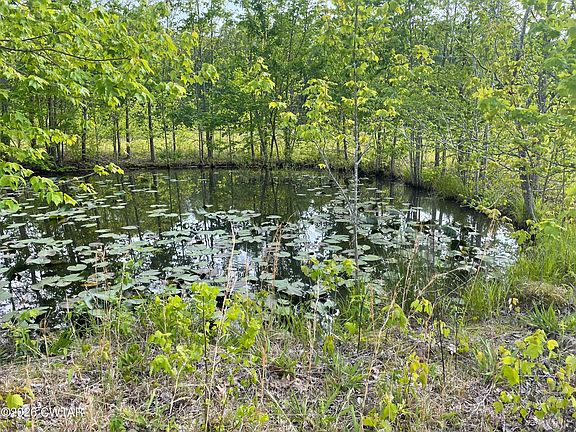 2nd image of 12945 Highway 114