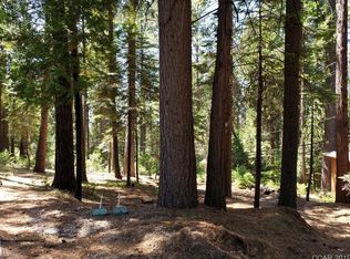 282 David Lee Rd, Arnold, CA 95223