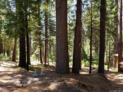 282 David Lee Rd, Arnold, CA, 95223