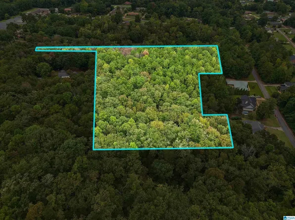 0 Lester Ln #1, Childersburg, AL 35044