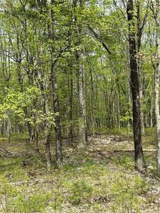 Split Rock Drive, Barryville, NY, 12719