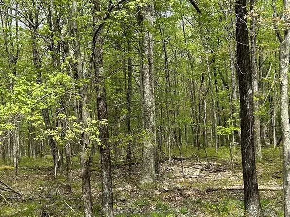 Split Rock Drive, Barryville, NY 12719