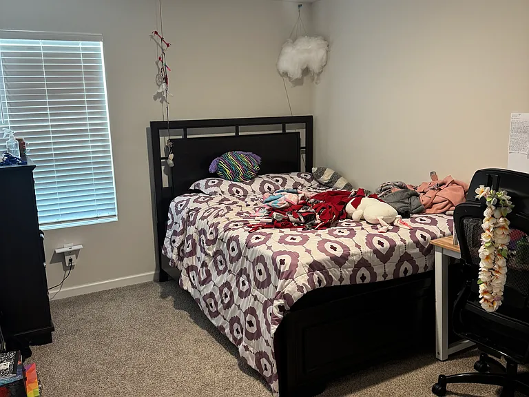 1217 E Stetson Ln — Photo 9