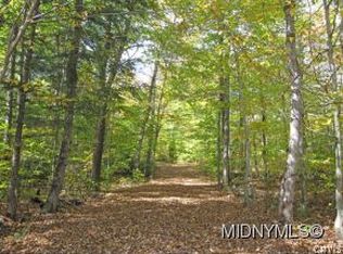 0 25 1 Ac Donovan Hills Rd, Salisbury Center, NY 13454