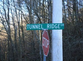 Long Hollow Road, sevierville, TN 37876