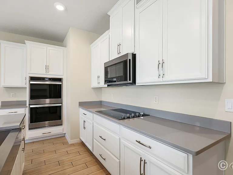 13441 Palmera Vista Dr — Photo 12