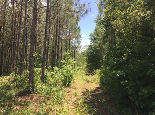 38 SW Cr #227, Hampton, FL 32044