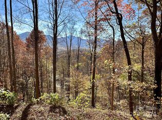 11 Trout Lily Ln #11, Maggie Valley, NC 28751