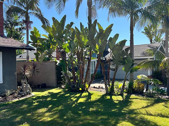 Front yard