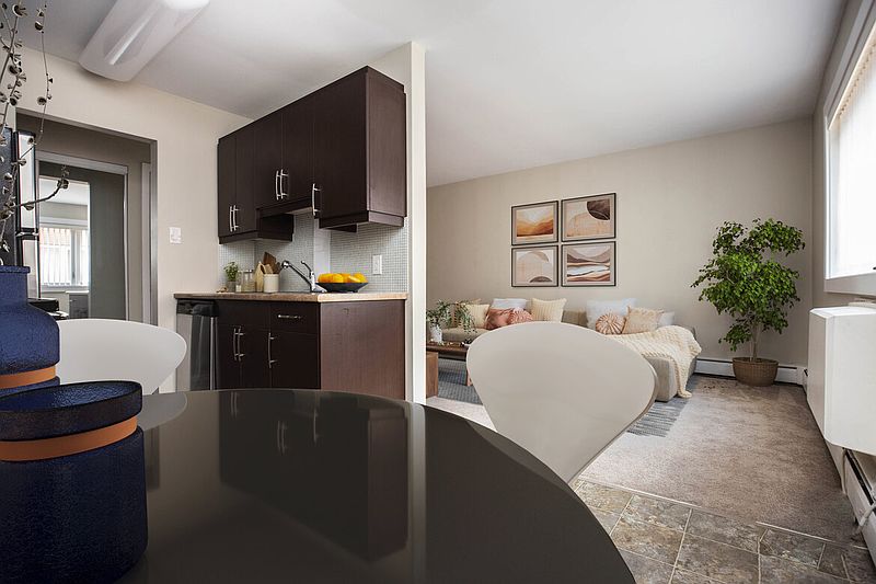 Winnipeg Apartment for rent - 2 Bedrooms — photo 12