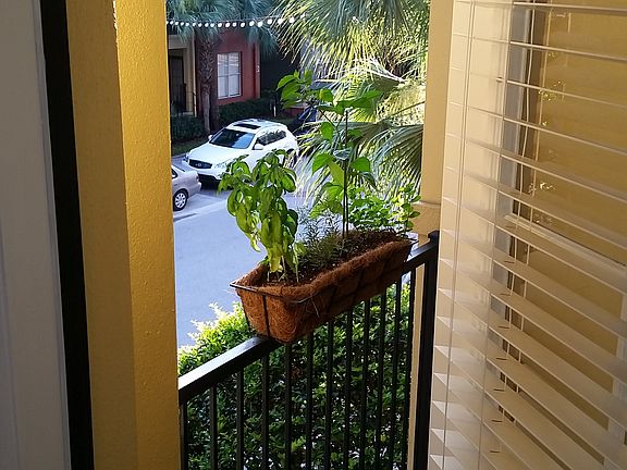3rd image of 2440 W Horatio St Unit 1021