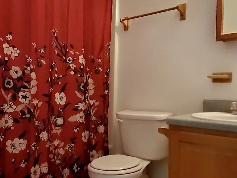 355 S Sahuaro St #1 — Photo 9