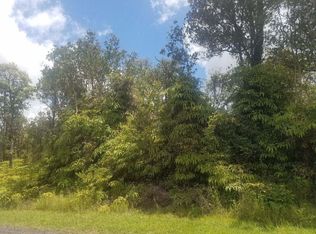 11 2744th #36, Volcano, HI 96785