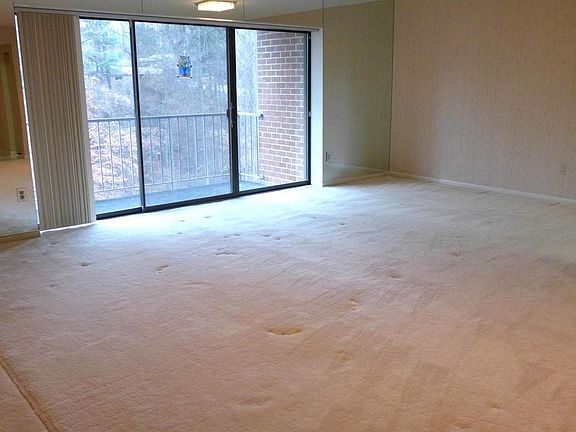 Expansive Living Room/Dining Room