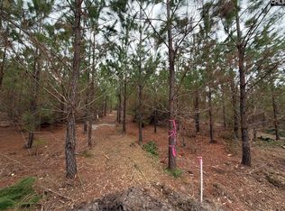 Bff Ii 4 Jc Barefoot Rd, Patrick, SC 29584