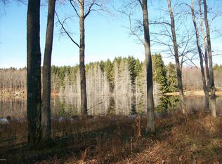 Duck Harbor Rd, Equinunk, PA 18417