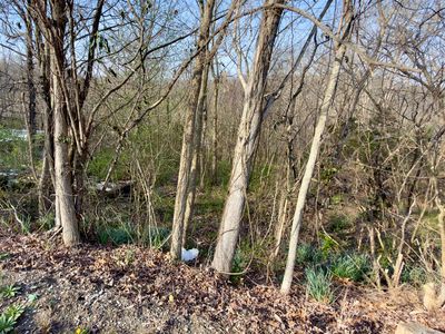 794 Missouri Valley Rd, Monticello, KY, 42633