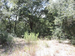 0 SW 202 Ct, Dunnellon, FL 34431