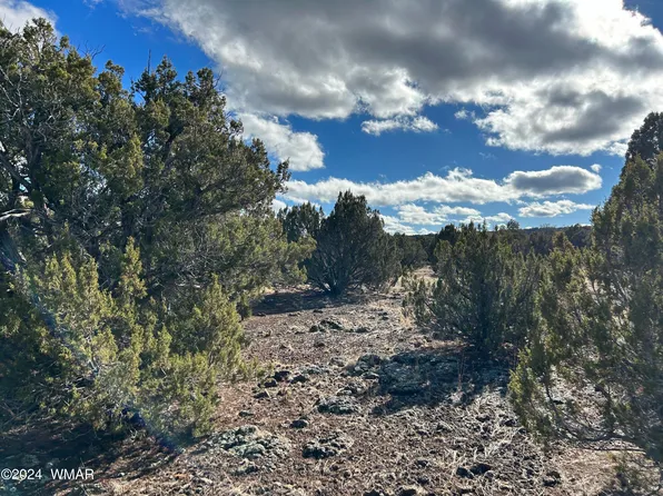 Cc Ranch Rd Parcel 304-23-015B, Show Low, AZ 85901