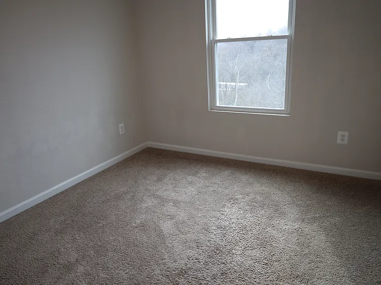 81 Cramsford St — Photo 15