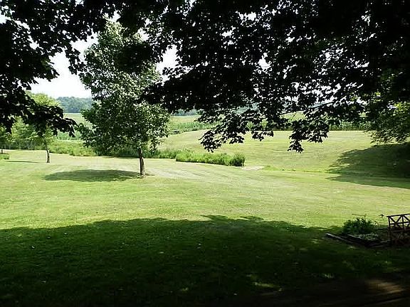 Back porch view in summer
