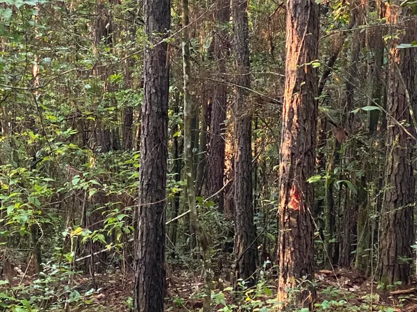 1 Kirby Creek Rd, Wiggins, MS 39577