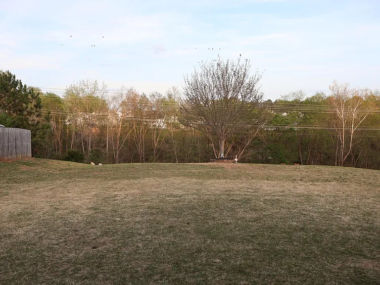 1328 Lowenstein St — Photo 7