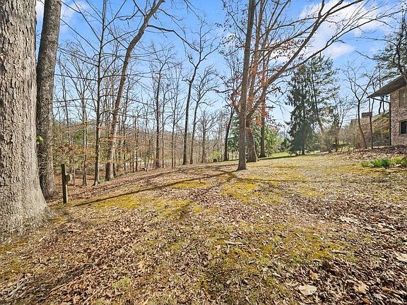 3rd image of 107 Pollitt Rd