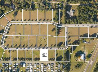 7 Hidden View Cir, Dade City, FL 33525