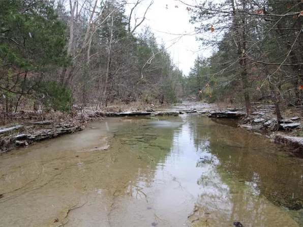 0 Mineral Ln, Park Hills, MO 63601