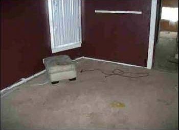 5th image of 6208 S Wolcott Ave