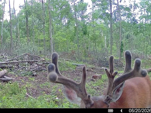 3rd image of Deckards Run Rd