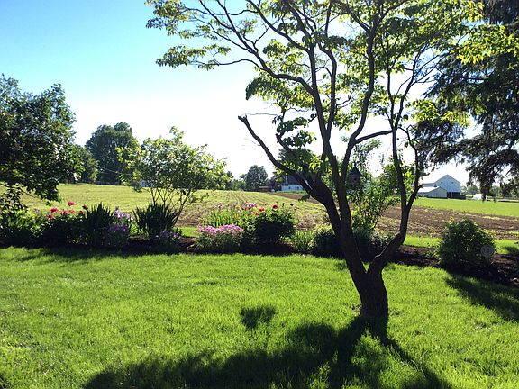Side yard to neighbor’s farm