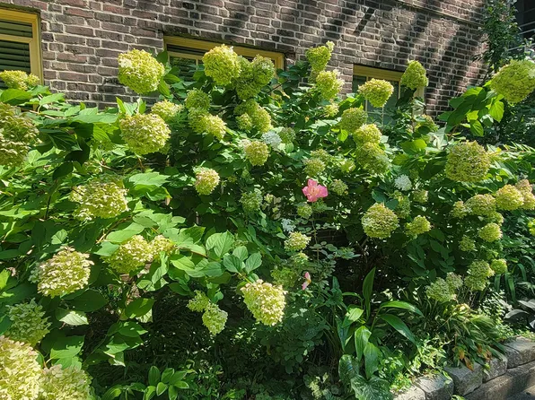 37-33 84th Street image 18 of 25