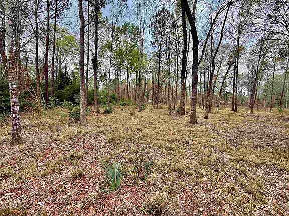 4th image of 325 Jennings Rd #2