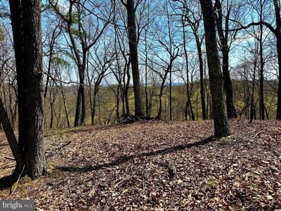 148 Parrill Hollow Rd, Burlington, WV, 26710