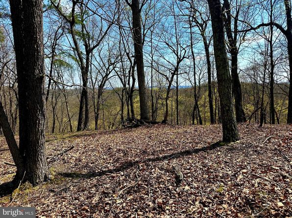 Parrill Hollow & Northwestern Hwy, Burlington, WV 26710