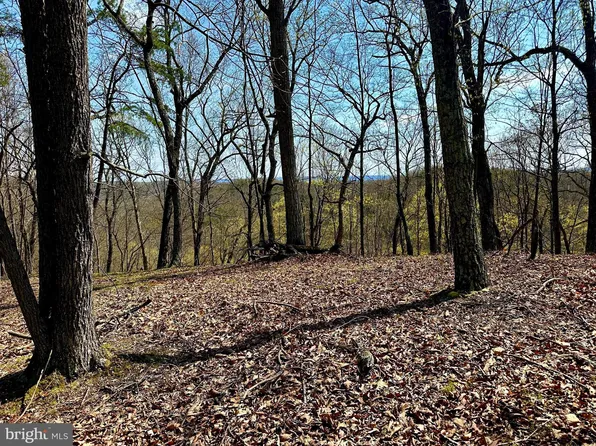 148 Parrill Hollow Rd, Burlington, WV 26710